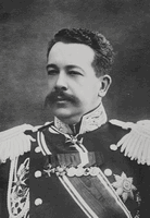 Н.Н. Янушкевич
